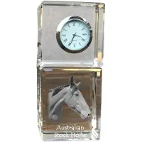Art-Dog Klok – Australian Stock Horse