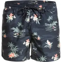 Quiksilver Scenic 15 Zwembroek