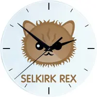 Art-Dog Klok – Selkirk Rex