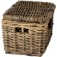 Fastrider Sera Rattan Lid 26l Mand