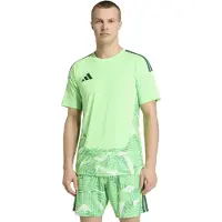 Adidas Tiro26 Competition Goalkeeper Jersey Short Sleeve T-shirt Groen 3XL / Regular Man