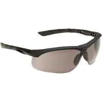 SWISSEYE Lancer Smoke Bril