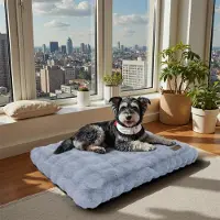 Bingopaw WISFOR Hondenbed, hondenbank, hondenbankje, hondenmand. Pluche, waterdicht, wasbaar. Afneembare hoes. Afmetingen: L: 90 x 60 x 10 cm, grijs