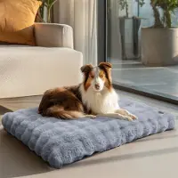 Bingopaw WISFOR Orthopedisch hondenbed, hondenbank, hondenbankje, hondenmatras, geschikt voor grote honden, slaapplek, waterdicht, wasbaar, afneembare hoes. Maat 2XL: 120x90x12 cm, grijs