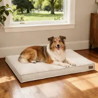 Bingopaw WISFOR Hondenbed, hondenbank, hondenbankje, hondenmand. Antislip, wasbare hoes, afneembaar. XL: 103 x 69 x 10 cm, khaki