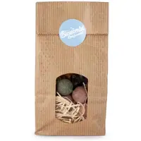 Blossombs Geschenktas met 25 zadenbommetjes |