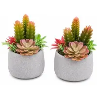 Pottery Pots Set van 2 Luxe Kunstplantjes in Design Pot - Decoratieve Vetplanten - Hotel Chic Woonaccessoire