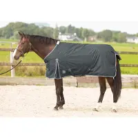 Harry's Horse Deken Thor 200gr Grijs - 165/215