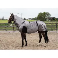 Harry's Horse Harrys Horse Eczeemdeken grijs 195cm