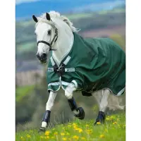 Horseware Original Turnout Lite 0g met beenuitsparingen - Green Silver - 160/213