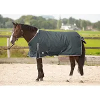 Harry's Horse Harrys Horse Deken Thor 300gr Ebony_175 cm