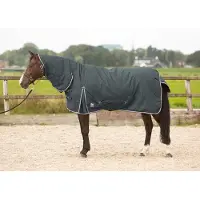 Harry's Horse Deken Thor Met Hals 200gr Grijs - 115/155