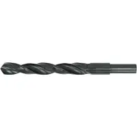 Hikoki Spiraalboor HSS-R DIN 338 D. 16,0 mm met Gereduceerde Schacht 13 mm - 780082