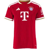 Adidas Tricot 'FC Bayern München 26/27' rood / bordeaux / wit