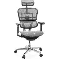 Hjh OFFICE Bureaustoel / directiestoel ERGOHUMAN ULTRA GEN2 Netstof grijs