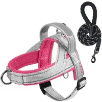 Famanu – Hondentuig met hondenriem, verstelbaar Y-tuig met reflectie en handgreep voor training en wandelen, grijs/roze, maat M