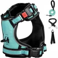 Famanu – Anti-trek hondentuig - borsttuig voor kleine honden veiligheidsharnas puppy's - anti-trektuig trainingshalsband puppy tuig reflecterend - Turquoise