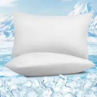 Famanu – Kussensloop set van 2 hoofdkussenslopen met Q Max > 0 45 Arc Chill zachte ademende koelvezels kussenhoes beschermt huid en haar zomerkussenslopen met ritssluiting 50 x 70 cm