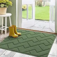 Famanu - Deurmatten Binnen Duiten Schoonloopmat Vuilschraper,Antislip, Machinewasbaar,Waterabsorberend, entree deurmat voor voordeur, gang, entree, keuken, slaapkamer (Green, 80x100cm)