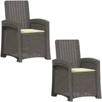 vidaXL Ligstoel Rieten Look 2 pcs Lichtgrijs en Crème PP