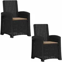 vidaXL Ligstoel Rieten Look 2 st Antracietkleurig en taupe PP