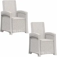 vidaXL Ligstoel Rieten Look 2 st Wit PP
