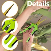 Famanu - Tuinschaar Oogstschaar met Gebogen Titanium Gecoate Bladen, Snoeischaar, Plantenschaar voor Tuin, Bonsai, Bloemen, Planten, Oogst, Fruit, Boeket, Rozenschaar (Gebogen+Titanium)