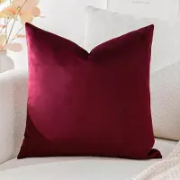 Famanu - Luxe fluwelen kussenhoezen super zachte decoratieve vierkante kussenhoezen hoes kussenslopen voor bank, slaapkamer, autodecoratie 50 x 50 cm, wijnrood