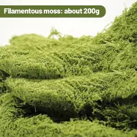 Famanu - Kunstmos, decoratie, 200 g, kunstplanten, mos, nylon, kunstplant, mos, voor eeuwige tuinen, muur, aquarium, modelbouw, donkergroen