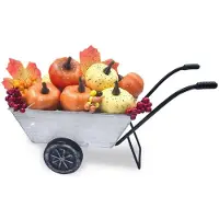Famanu - Herfstdecoratie met metalen mini-bolderkar, pompoenen en bladeren, vintage boerderijstijl