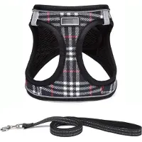 Famanu – Hondentuig Kleine honden met riem - anti-trektuig Reflecterend ademend borsttuig - puppytuig voor kleine - middelgrote honden (XS - Zwart geruit)