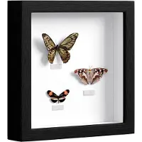 Famanu - Zwarte 3D objectlijst 20x20 cm, diepe lijst voor decoraties