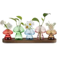 Famanu – Voor Thuis: Kleine Glazen Vaas Set van 5 Plant Terrarium met Houten Voet Schattige Bloemenvazen voor Decor Binnen Woonkamer Keuken Kantoor Tafelraam