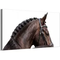 MuchoWow Aluminium schilderij 80x40 cm - Wanddecoratie metaal - Portret - Paard - Elegant - Metalen muurdecoratie woonkamer - Decoratie industrieel - Foto op dibond - Industriële accessoires slaapkamer