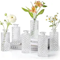 Famanu - Glazen Knopvazen Set van 6, Kleine Diamanten Knopvazen in Bulk, Mini-Bloemenvazen Voor Centerpieces, Vintage Fles Voor Tafeldecoraties, Bruiloftsdecoratie, Receptie, Thuis, (Transparant)