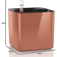 Famanu - Glossy 14 Zelf Water Planter Kleine Bloem Plant Pot Indoor Tafel Planter Zonder Drainage Gat Poly Hars H14 L14 W14 cm Kruidig Koper Hoogglans