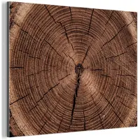 MuchoWow Aluminium schilderij 160x120 cm - Wanddecoratie metaal - Boom - Ringen - Bruin - Metalen muurdecoratie woonkamer - Decoratie industrieel - Foto op dibond - Industriële accessoires slaapkamer