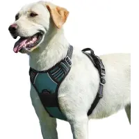 Markenlos – Hondentuig No Pull, Hondenharnas voor Grote Honden, Verstelbare Harnas Hond met Reflecterend Strepen, Gewatteerd Zacht Ademend, Hondentuigje Anti-trek voor Wandelen Training, Donkergroen L
