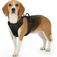 Markenlos – Anti-trek hondentuig no-pull, licht en comfortabel hondenharnas met reflecterende details voor kleine honden, zwart, maat S