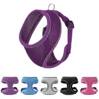 Famanu hondentuig, ademend, voor kleine honden - paars, maat S