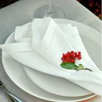 Famanu – Luxe tafelkleed Florence van 100% linnen, wit, 43 x 43 cm, perfect voor speciale gelegenheden
