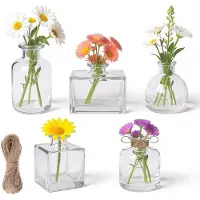 Famanu – 5 stuks glazen mini-vazen, kleine vazen met 5 m jute koord voor tafeldecoratie, transparant, mini-bloemenvazen, decoratieve flessen voor tafeldecoraties, middenstukken, bruiloft, feest en