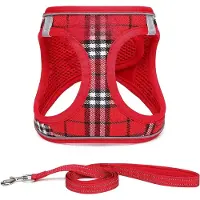 Famanu hondentuig voor kleine honden met riem - ademend, reflecterend design - maat M, rood geruit