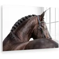 MuchoWow Glasschilderij 30x20 cm - Schilderij acrylglas - Portret - Paard - Elegant - Foto op glas - Muurdecoratie woonkamer - Wanddecoratie slaapkamer - Schilderijen