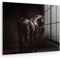 MuchoWow Glasschilderij 40x30 cm - Schilderij acrylglas - Krachtig - Paard - Donker - Foto op glas - Muurdecoratie woonkamer - Wanddecoratie slaapkamer - Schilderijen