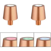 Globo Lighting RGB LED tafellamp oplaadbare fleslamp top flessenhals decoratieve lamp touch, USB, goudkleurig, 1W koel wit, DxH 10,5x14 cm, set van 2