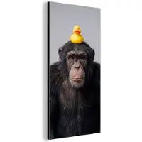 MuchoWow Aluminium schilderij 80x160 cm - Wanddecoratie metaal - Chimpansee - Badeend - Grijs - Metalen muurdecoratie woonkamer - Decoratie industrieel - Foto op dibond - Industriële accessoires slaapkamer