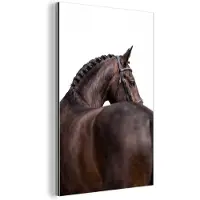 MuchoWow Aluminium schilderij 120x180 cm - Wanddecoratie metaal - Portret - Paard - Elegant - Metalen muurdecoratie woonkamer - Decoratie industrieel - Foto op dibond - Industriële accessoires slaapkamer