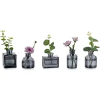 Famanu – Mini glazen vaasjes set van 5, grijze uitvoering, kleine bud vazen voor bloemen en stekjes, geschikt voor tafeldecoratie en interieur