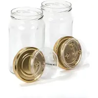 Famanu - Fermentatiepot, ideale set voor het bereiden van melkkefir of waterkefir thuis, kiemvergister + receptenboek 900ml (Blauw)